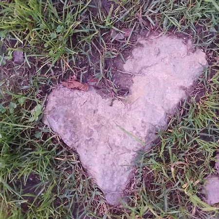 Palheiro Do Malgas 3* Lousã