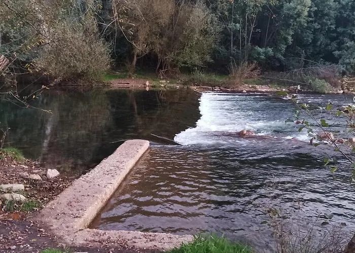 Palheiro Do Malgas 住宿加早餐酒店 洛萨